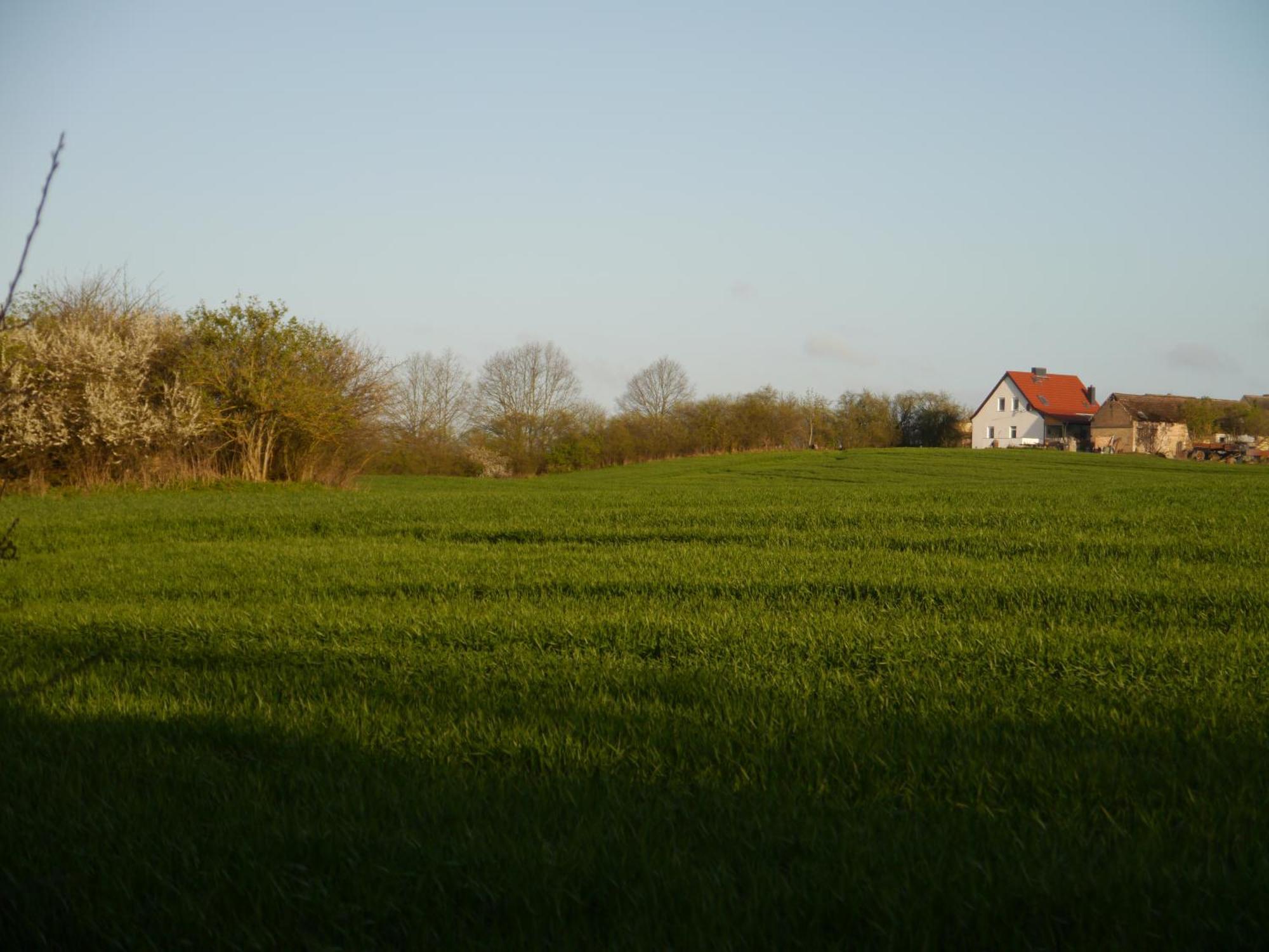 Ferienhaus-Uckermarkblick Rosenow  Екстериор снимка