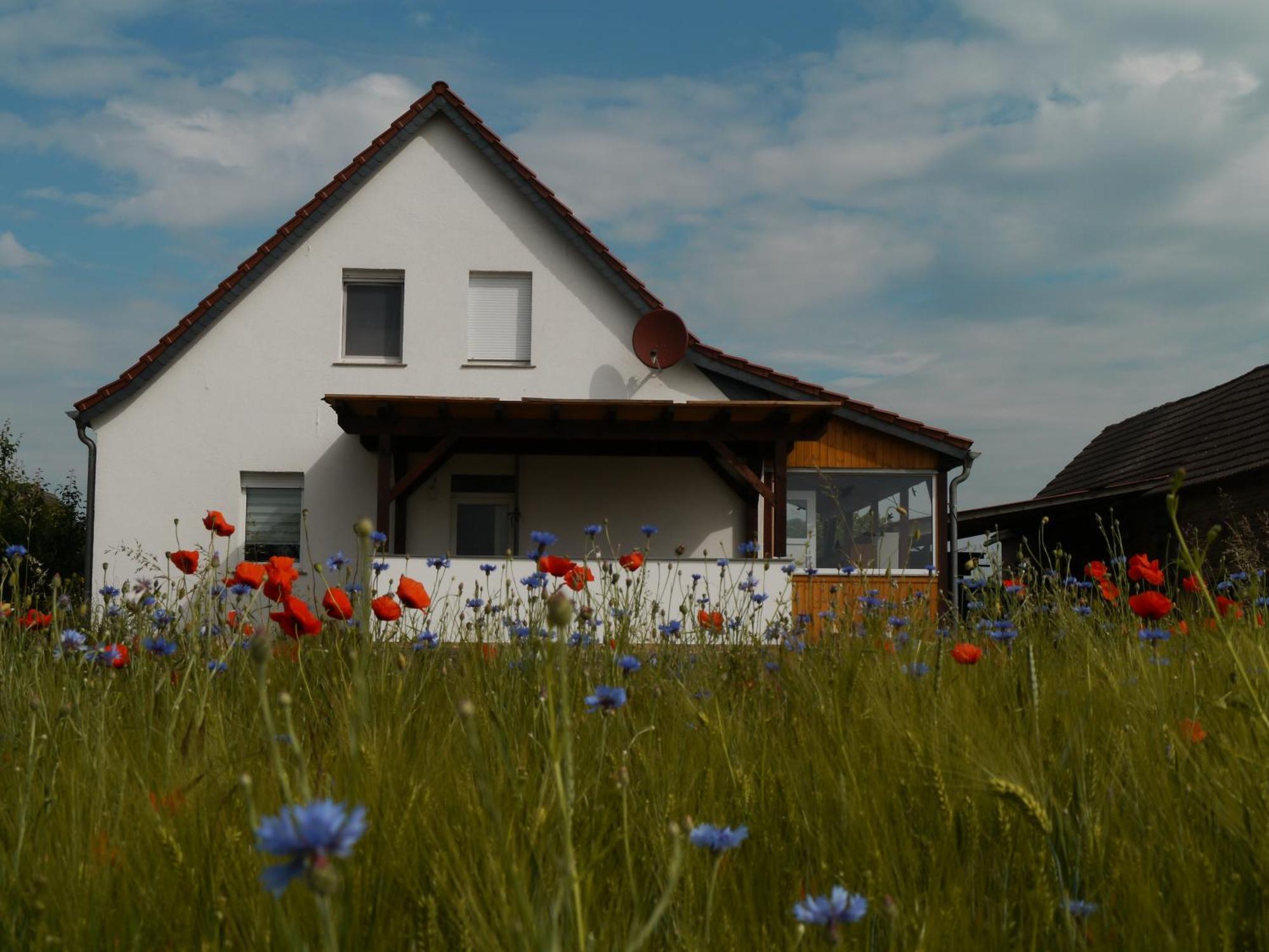 Ferienhaus-Uckermarkblick Rosenow  Екстериор снимка