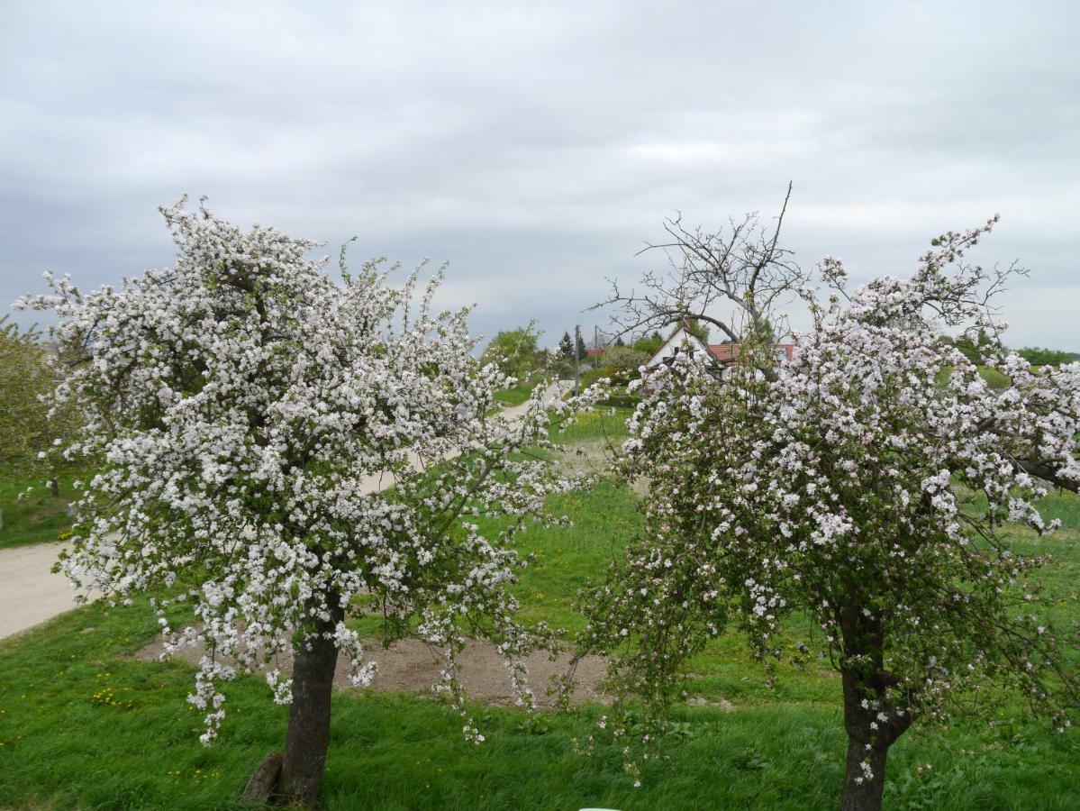 Ferienhaus-Uckermarkblick Rosenow  Екстериор снимка